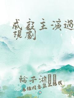 成毅主演过的电视剧