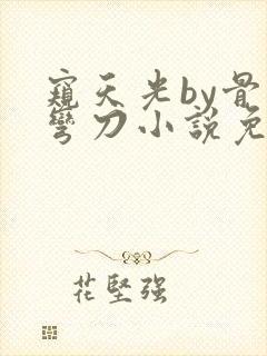 窥天光by骨色弯刀小说免费阅读