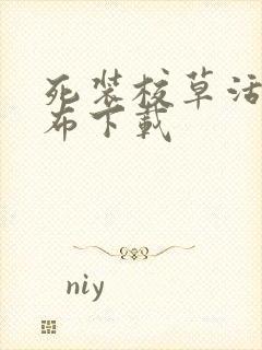 死装校草活该抹布下载