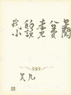 我的老公是冥王小说免费阅读全文