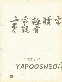 亡命救赎电影免费观看