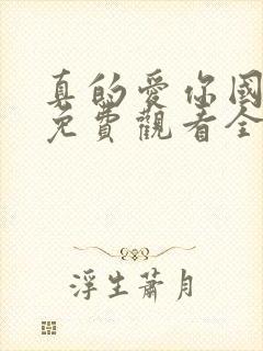 真的爱你国语版免费观看全集