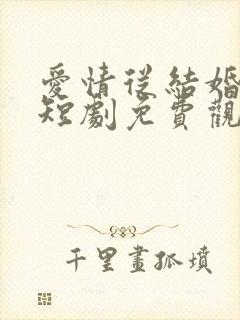 爱情从结婚开始短剧免费观看完整版