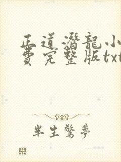 正道潜龙小说免费完整版txt下载