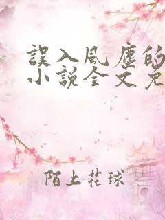 误入风尘的爱情小说全文免费阅读