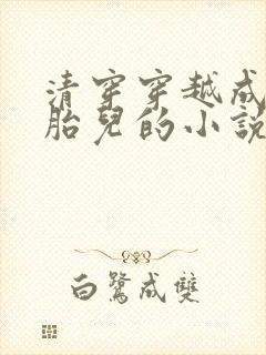 清穿穿越成腹中胎儿的小说