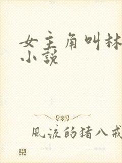 女主角叫林末的小说