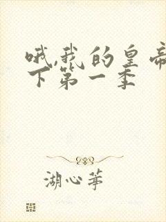 哦,我的皇帝陛下第一季