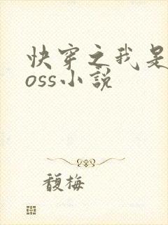 快穿之我是大boss小说