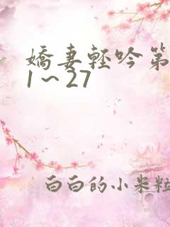 娇妻轻吟第二部1～27