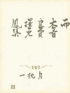 凤择良木而栖全集免费看