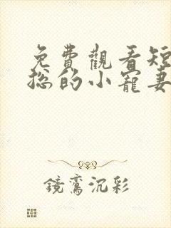 免费观看短剧肖总的小宠妻