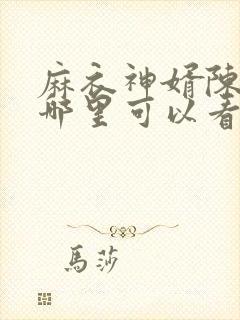 麻衣神婿陈黄皮哪里可以看