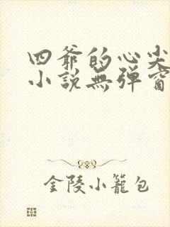 四爷的心尖宠妃小说无弹窗全文免费阅读