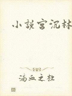 小说宫沉林知意