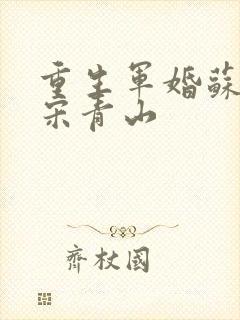 重生军婚苏向晚宋青山