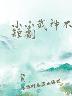 小小武神不好惹短剧