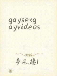 gaysexgayvideos