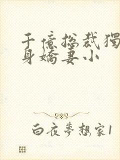 千亿总裁独宠替身娇妻小