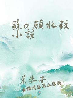 苏o 顾北弦 小说