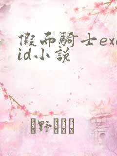 假面骑士exaid小说