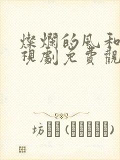 灿烂的风和海电视剧免费观看全集