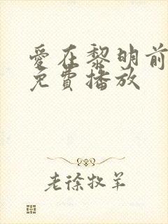 爱在黎明前升起免费播放