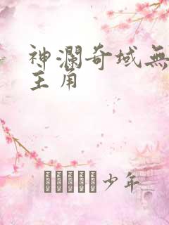 神澜奇域无双珠主角