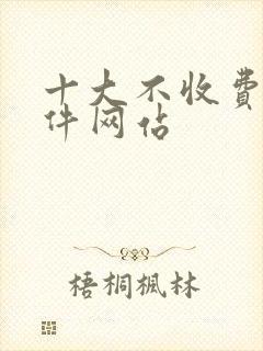 十大不收费看软件网站