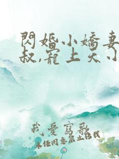 闪婚小娇妻:大叔,宠上天小说