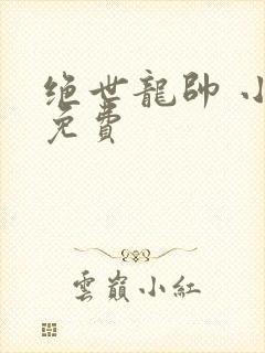 绝世龙帅 小说免费