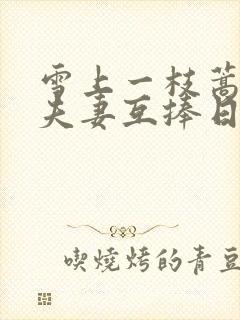 雪上一枝蒿纨绔夫妻互捧日常