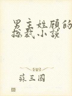 男主姓顾的现代总裁小说