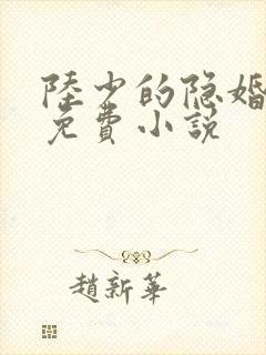 陆少的隐婚罪妻免费小说