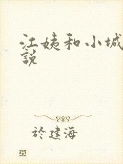 江姨和小城的小说
