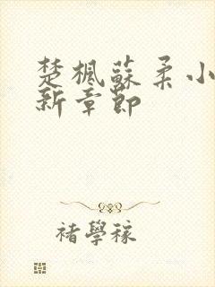 楚枫苏柔小说最新章节