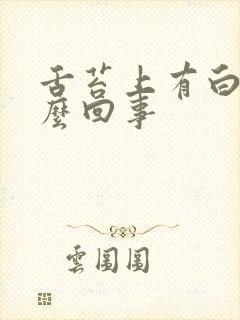 舌苔上有白的怎么回事