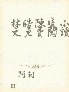 林皓陈曦小说全文免费阅读最新章节