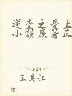 逆袭之爱上情敌小说原著正版