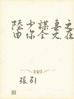 陆少谋妻之婚不由你全文在线阅读