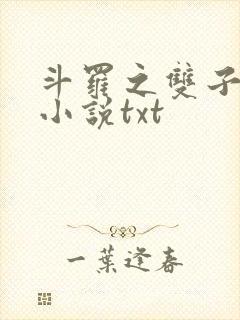 斗罗之双子斗罗小说txt