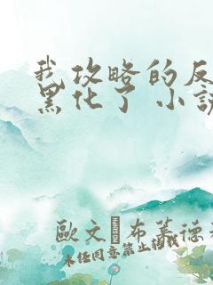 我攻略的反派都黑化了 小说