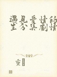 遇见爱情的利先生分集剧情