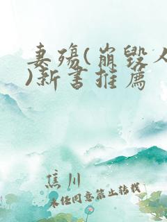 妻殇(崩毁人生)新书推荐