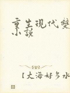 重生现代双男主小说