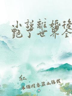 小说离婚后她惊艳了世界全文