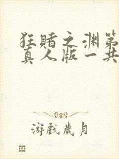 狂赌之渊第二季真人版一共多少集