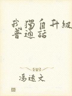 我独自升级动漫普通话