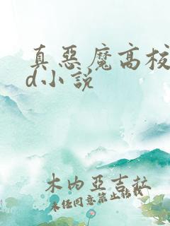 真恶魔高校dxd小说