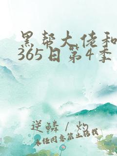 黑帮大佬和我的365日第4季